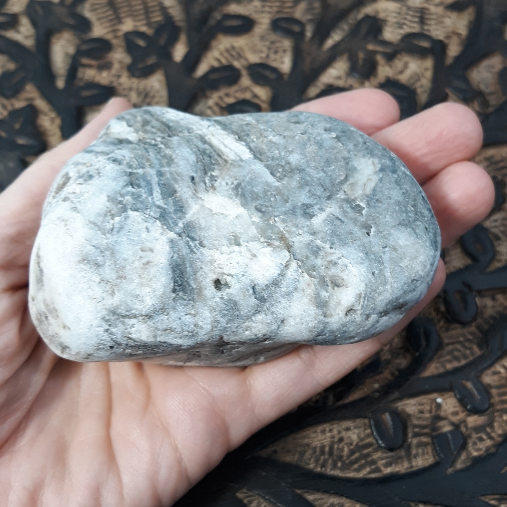 Maine Mottled Stone East Coast Lucky Beach Rock Raw Mineral Specimen Gray White
